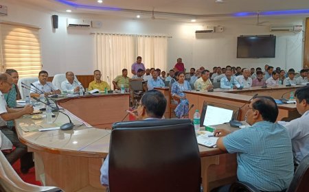 जिलाधिकारी की अध्यक्षता में जिला उद्योग, व्यापार एवं श्रम बंधु की बैठक हुई संपन्न