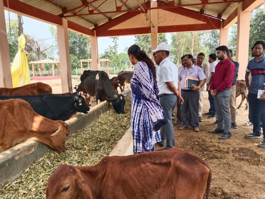जिलाधिकारी द्वारा कोप जंगल स्थित गौ संरक्षण केंद्र का किया गया निरीक्ष