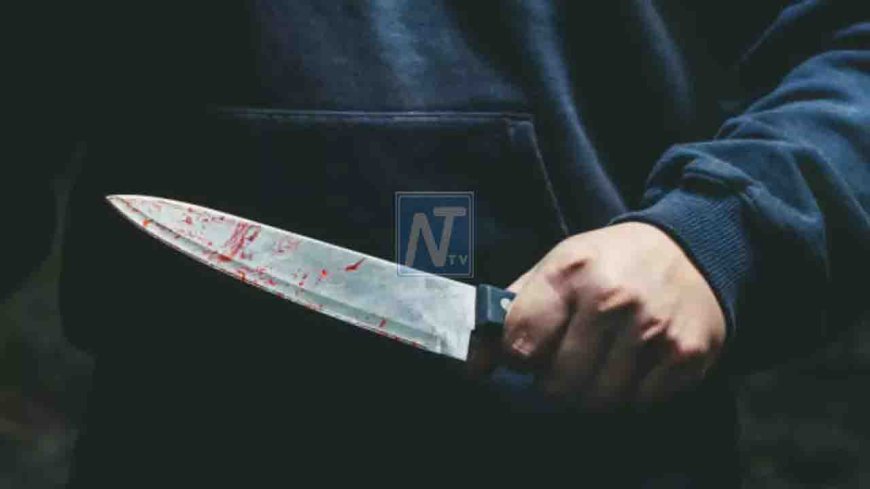 दिल्ली  में खौफनाक वारदात ,कहासुनी  को लेकर युवक को 17 बार घोंप दिया चाकू
