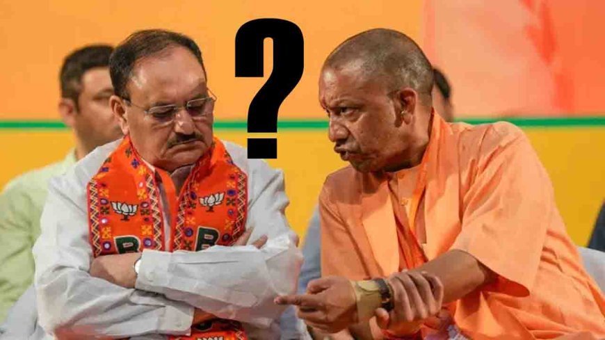 बीजेपी के ख़राब प्रदर्शन को लेकर बड़ा बखेड़ा,आखिर क्या चाहता है हाई कमान